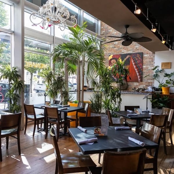 Bright, modern restaurant interior with dark tables, wooden chairs, large windows, and lush green plants.