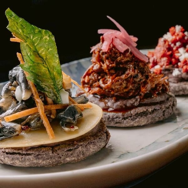 Three gourmet sopes with diverse toppings, including mushrooms, shredded meat, and red salsa, on a patterned plate.